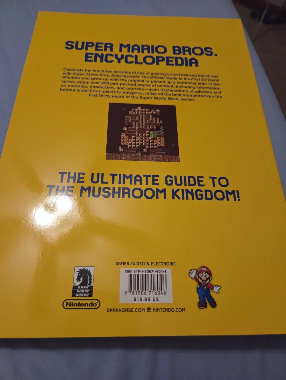 Nintendo official super